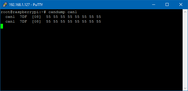 Can-FD message test raspberry pi